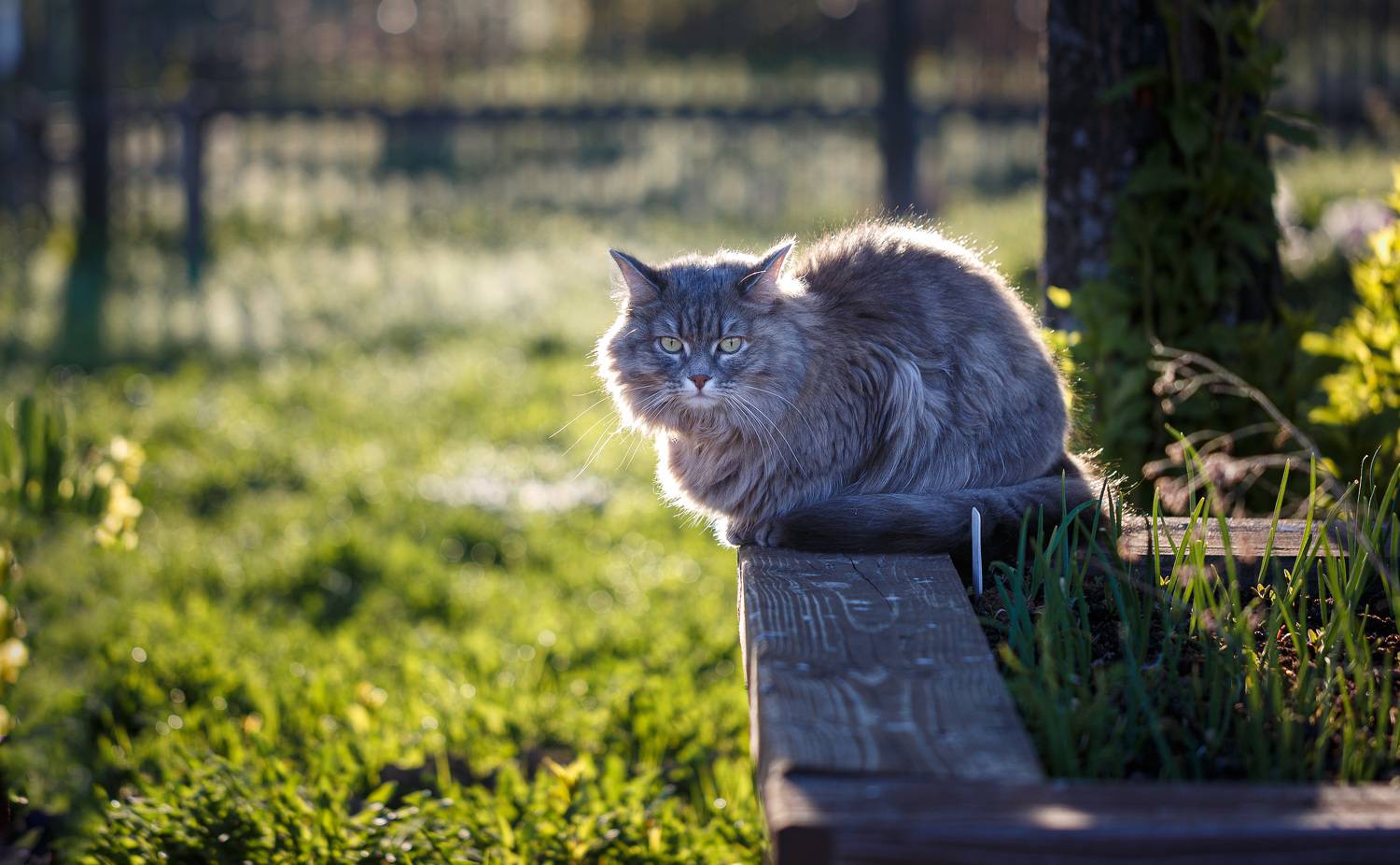 весна Торбеево, Зеленько Дмитрий