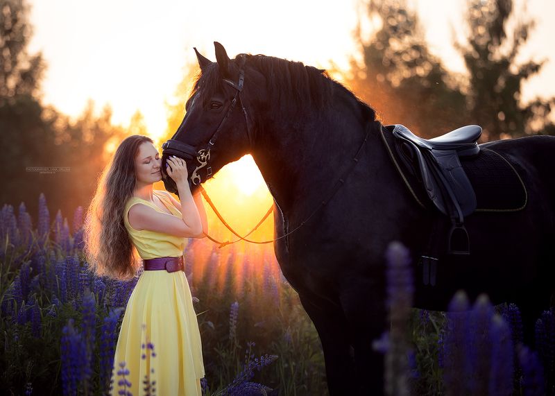 horse, horses, лошадь, конь, конныйфотограф, кэнон, canon, 7020028, лошади, фотографияслошадью, фотосессияслошадью, конный фотограф Яна Орлова, фотосессиислошадьми, коннаяфотография, pferd, horsephotographer, женский портрет, девушка   фото превью