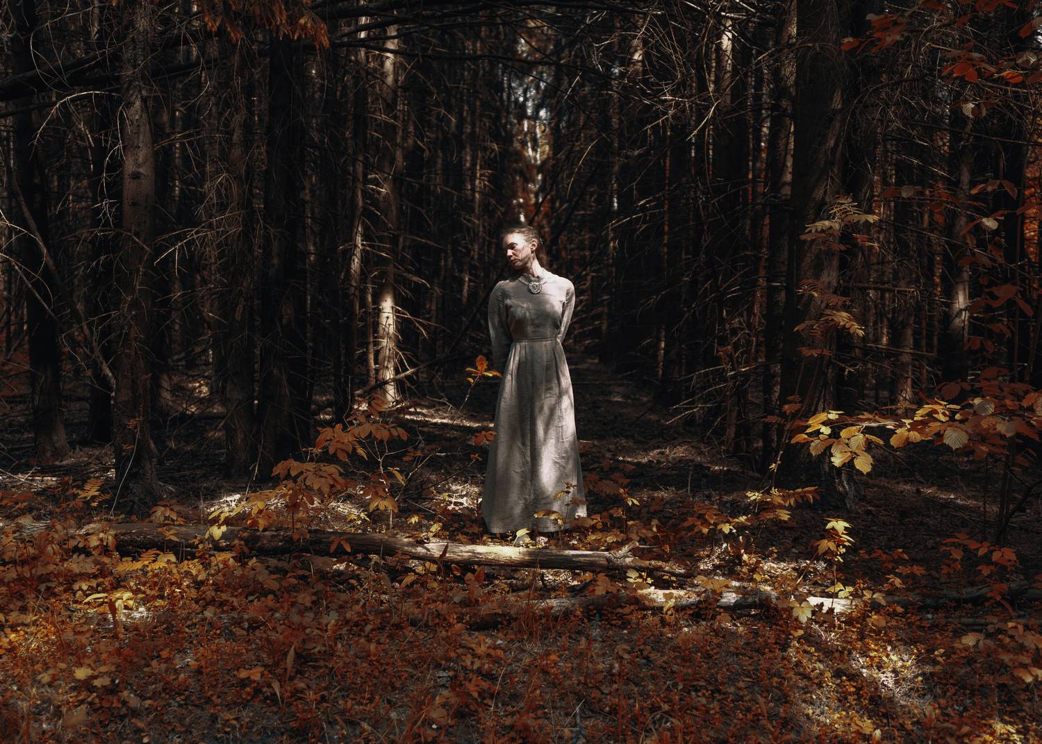 , Салихов Максим