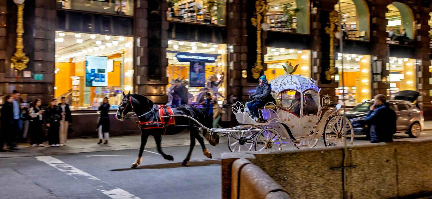 с проводкой, улица, санкт петербург, дом зингера, канал грибоедова, город, стрит, карета, лошпдь, Подосинников Максим