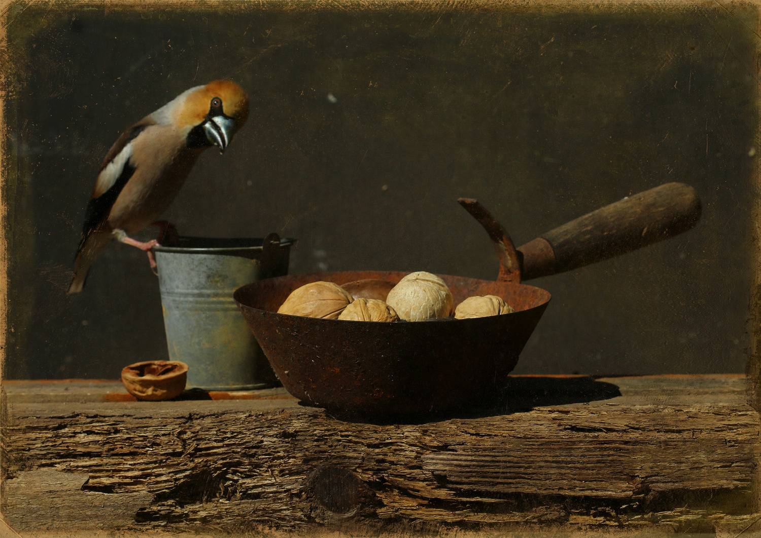 , Хромушин Олег