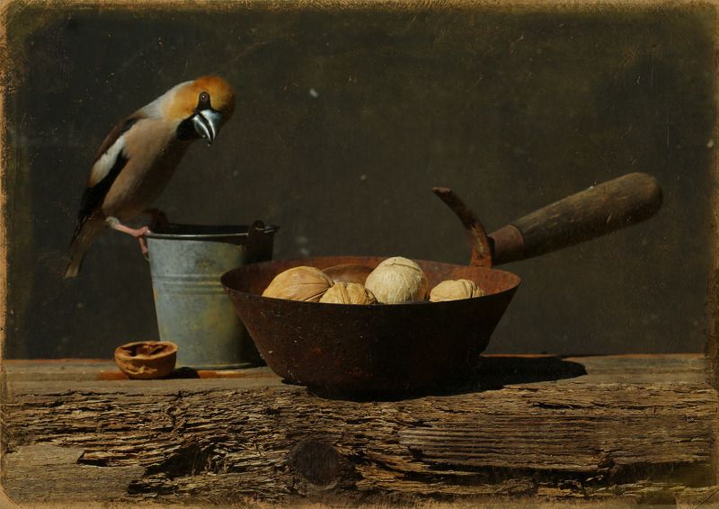 Натюрморт с орехами фото превью