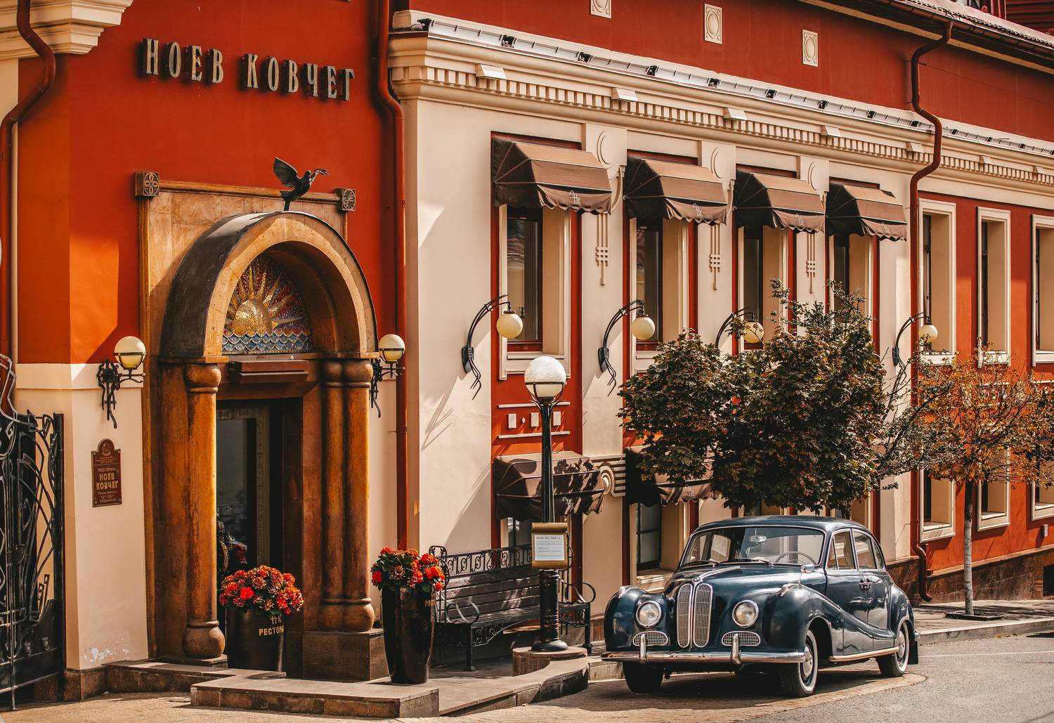 , Трепольский Дмитрий