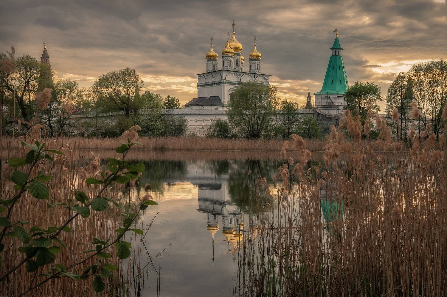 Московская область, Гусева Елена