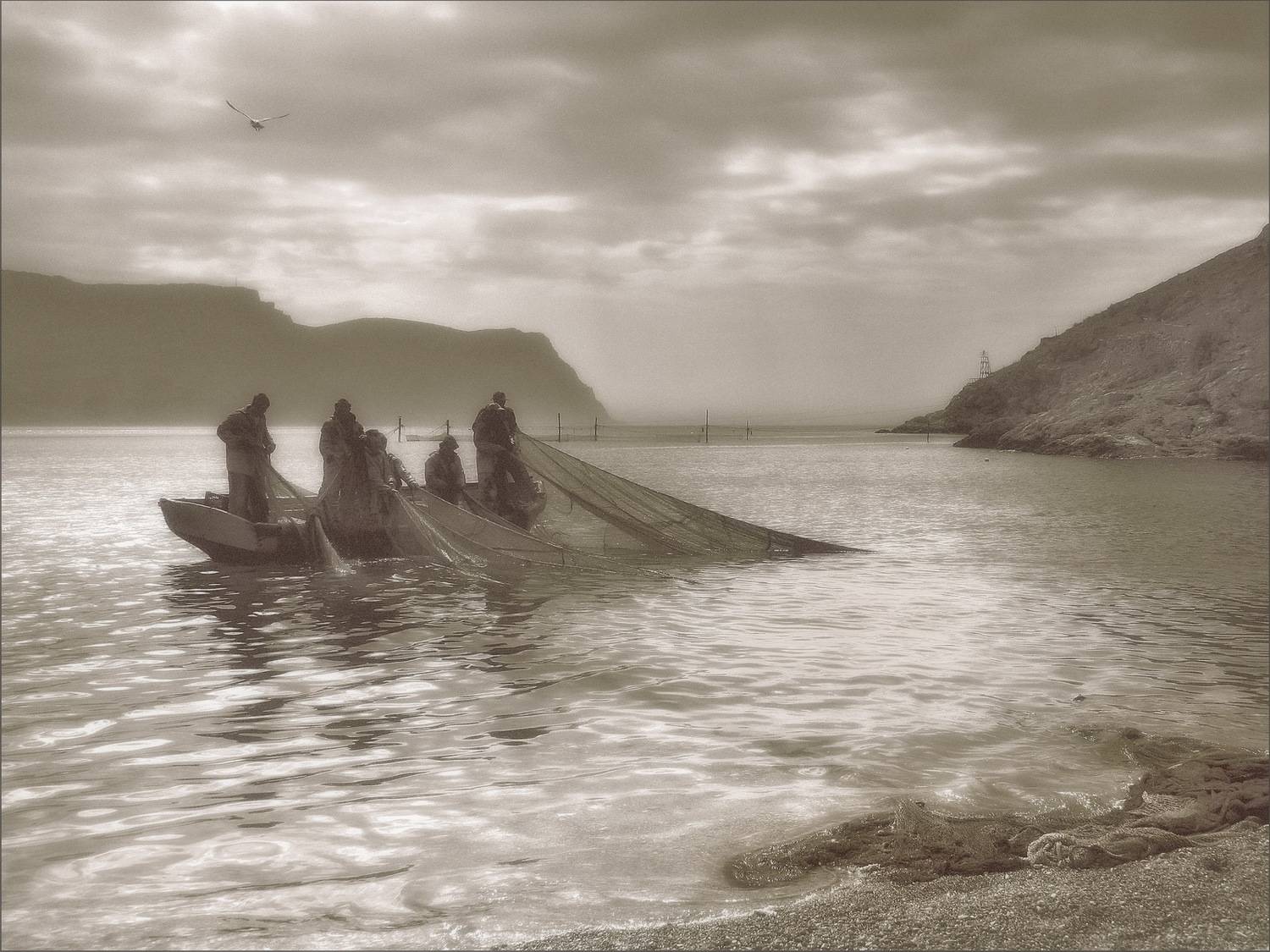 , Андрей  Золочевский