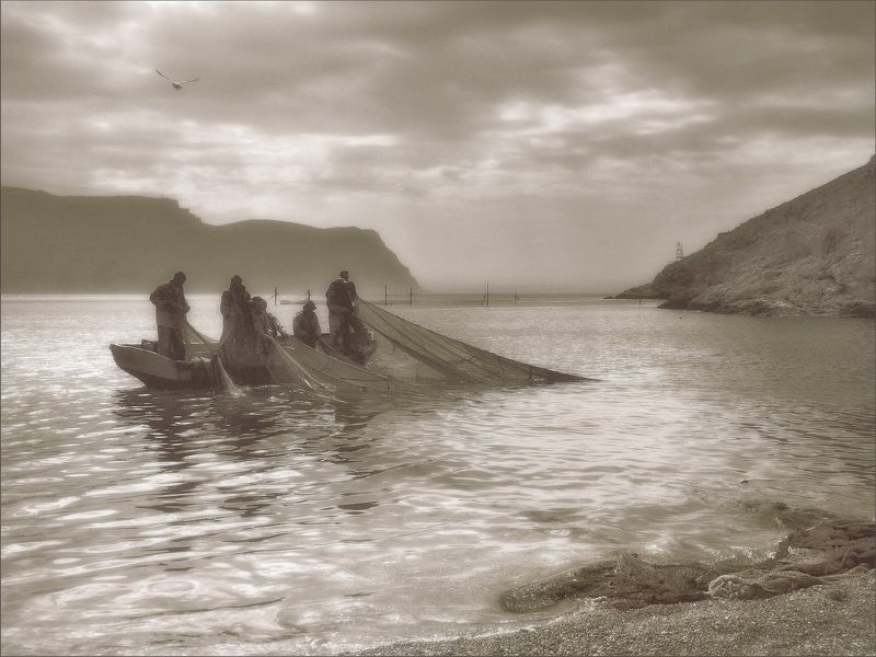 Без названия....... фото превью