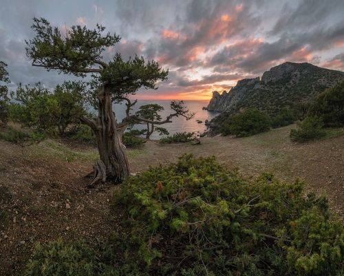 Сага о Новом свете