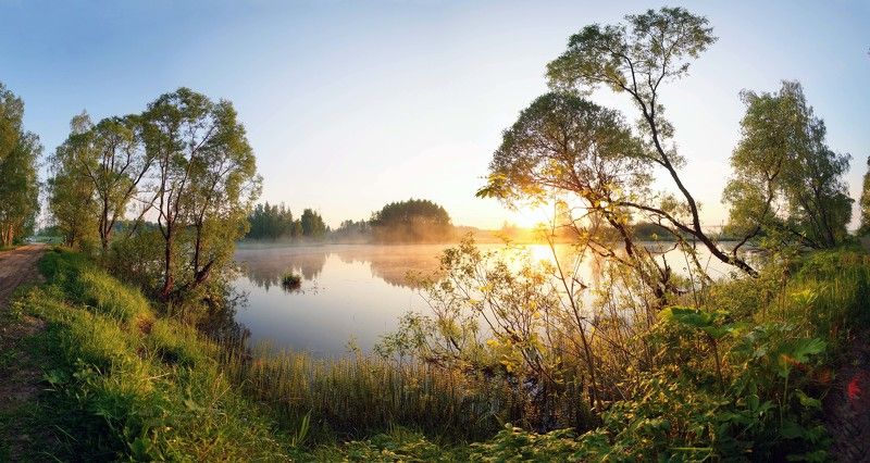 Утро на пруду. фото превью