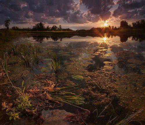 Старое озеро