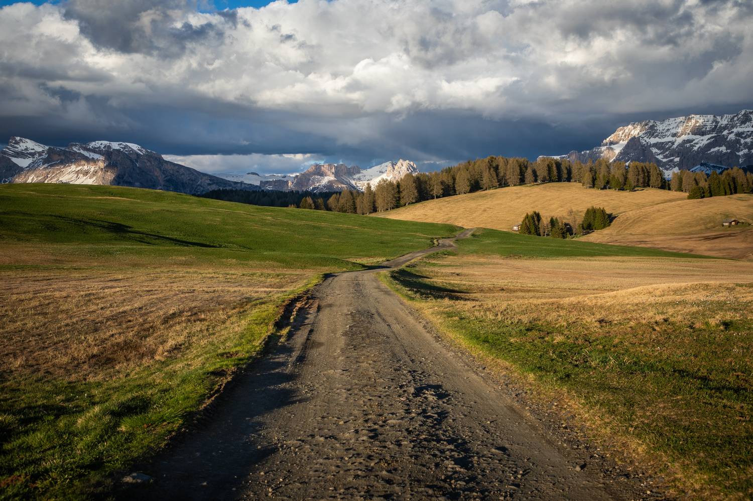 , Алекс Римский