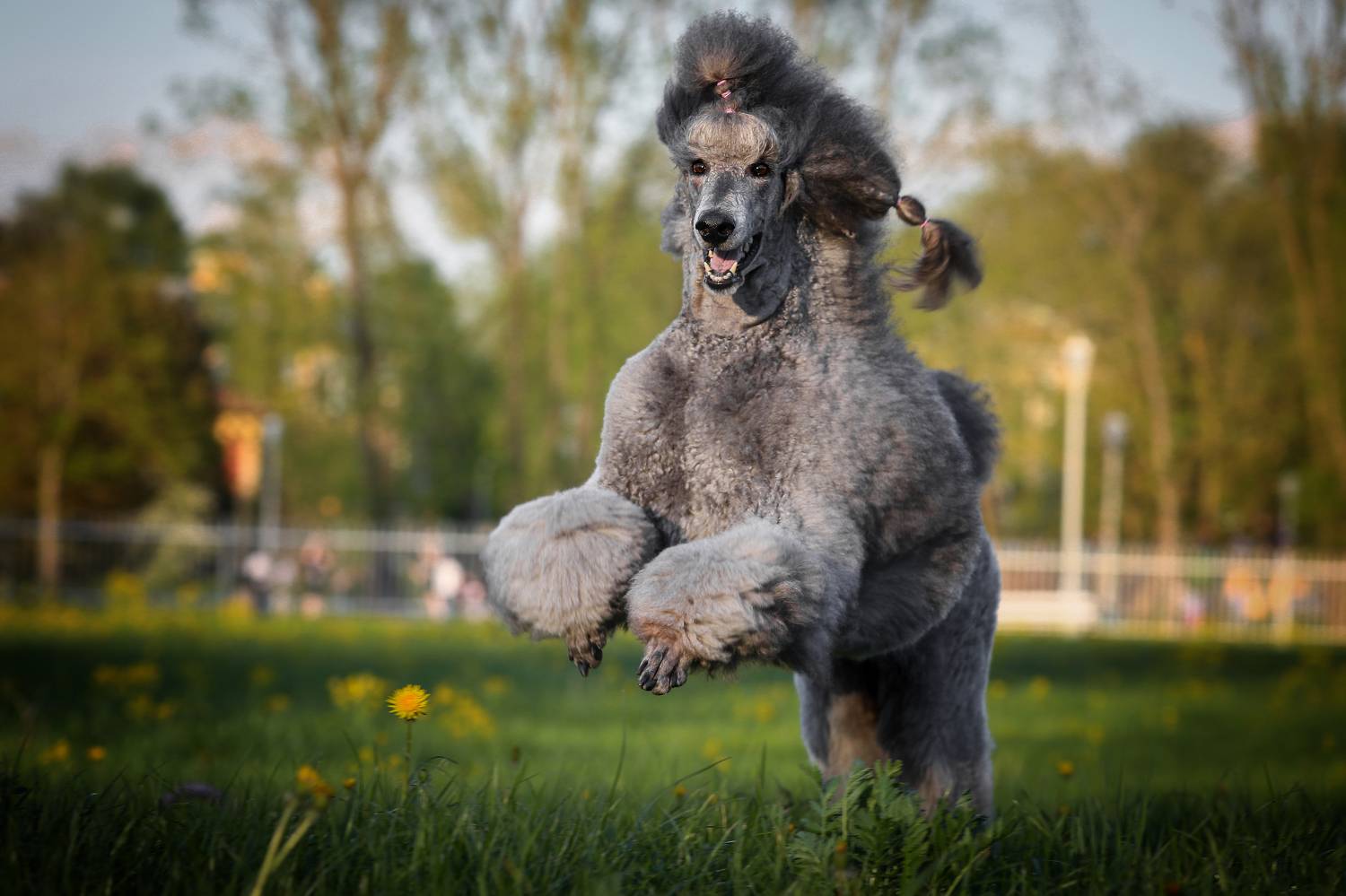 , Андрей Ершов