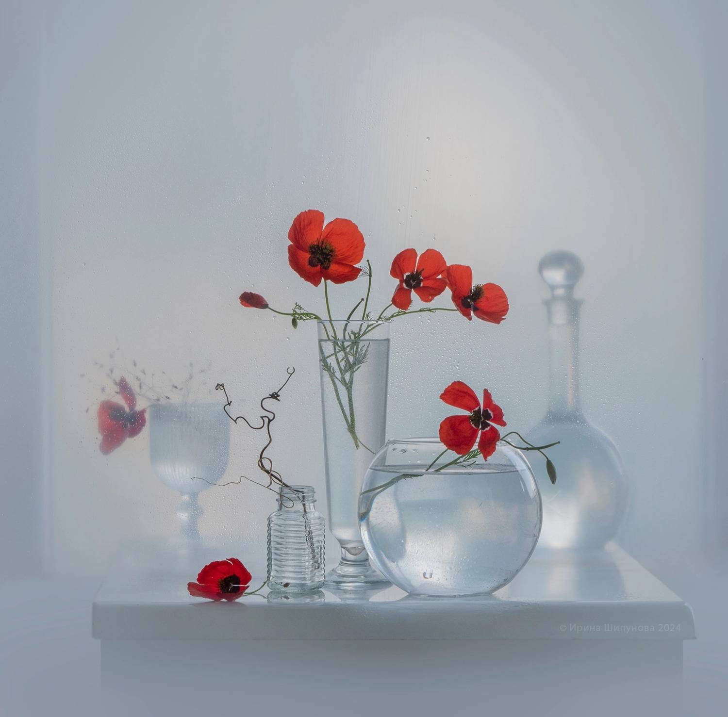 , Ирина Шипунова