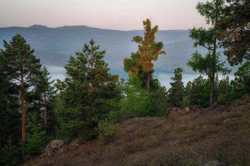 *** фото превью