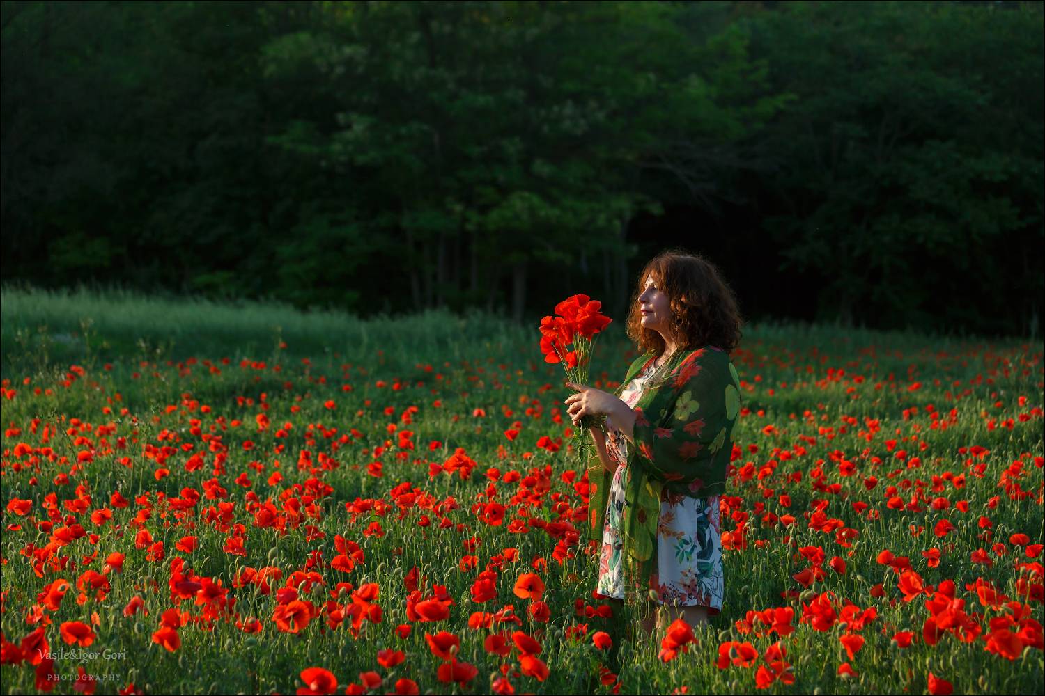 italy,valle san giorgio,italia,вечер,маки,италия,veneto,весна,венето,девушка,свет,nature,rural, Гори Василий
