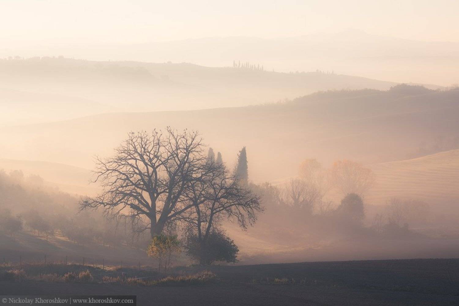 Италия, Пейзаж, Рассвет, Тоскана, Утро, Николай Хорошков