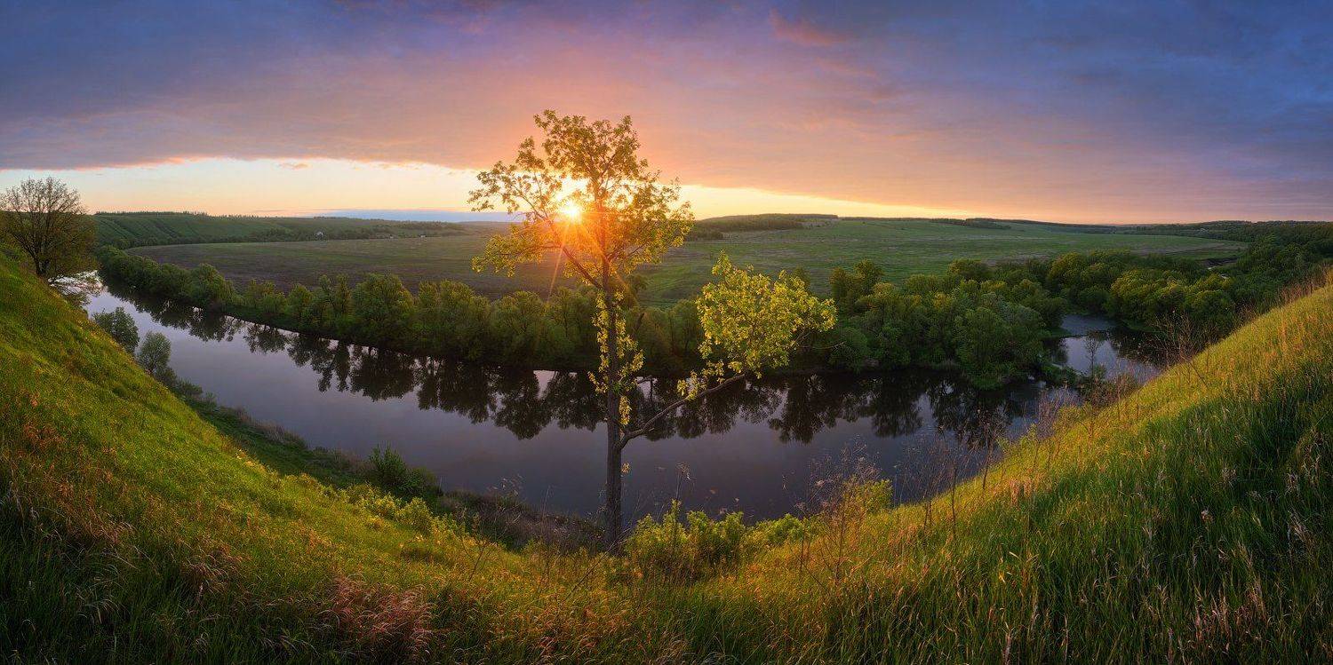 , Денис Сорокин