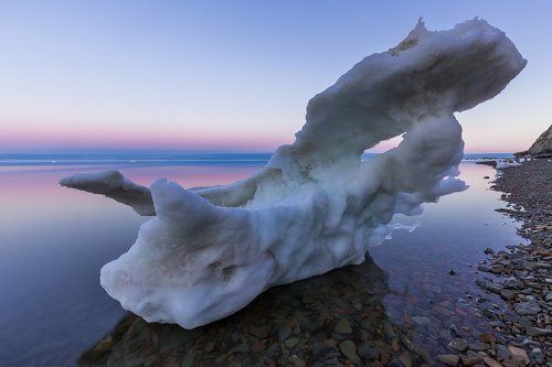 Самолет - носорог