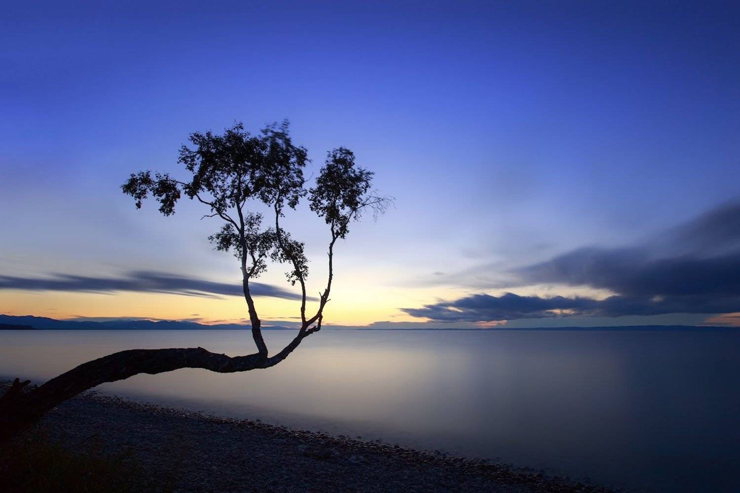 Байкал, Береза, Закат, Небо, Облака, Озеро, Евгений Трезубов