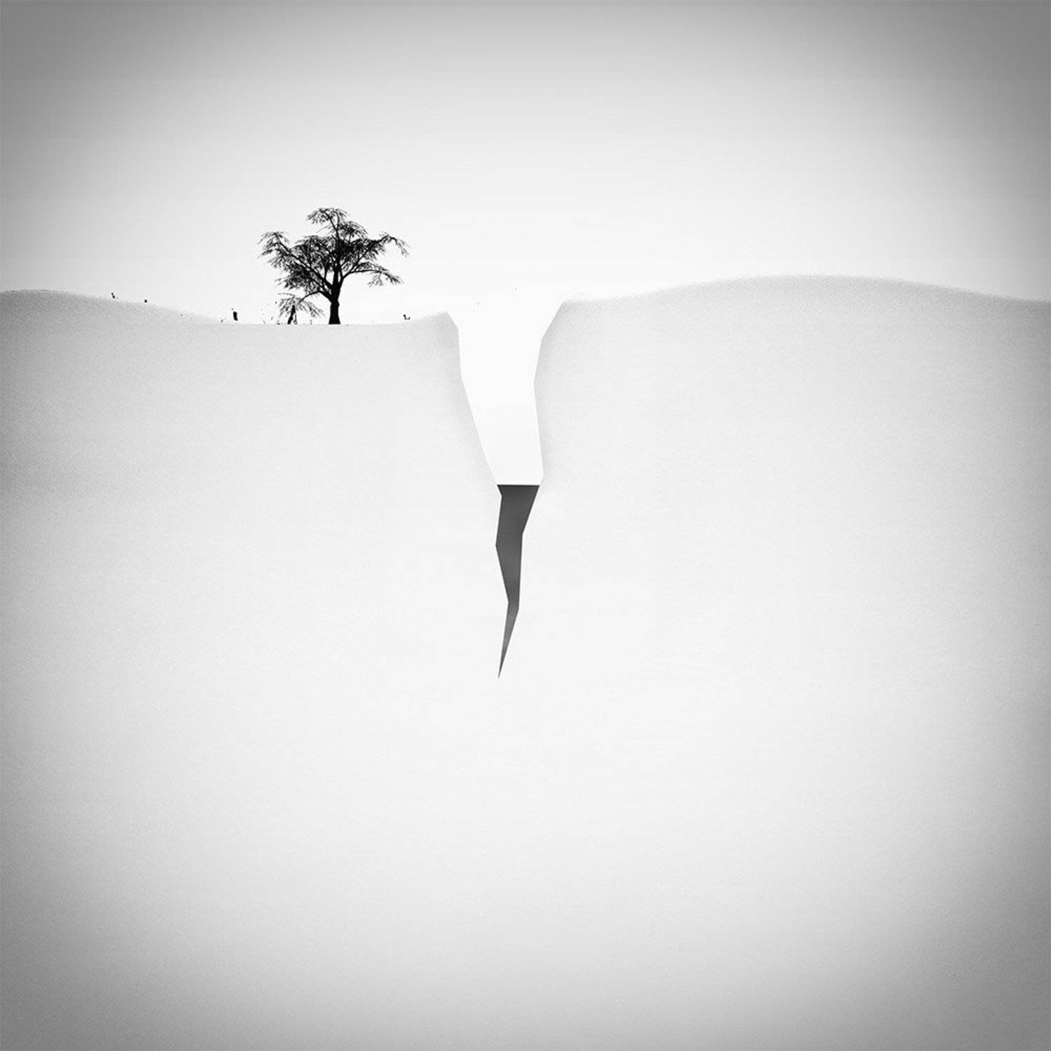 fineart, creative, concept, landscape, tree, minimal, , milad safabakhsh