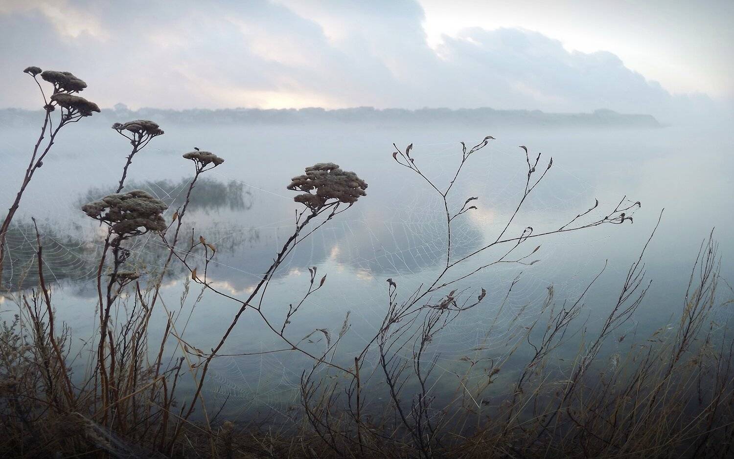 одесса, Сергей Кошелев