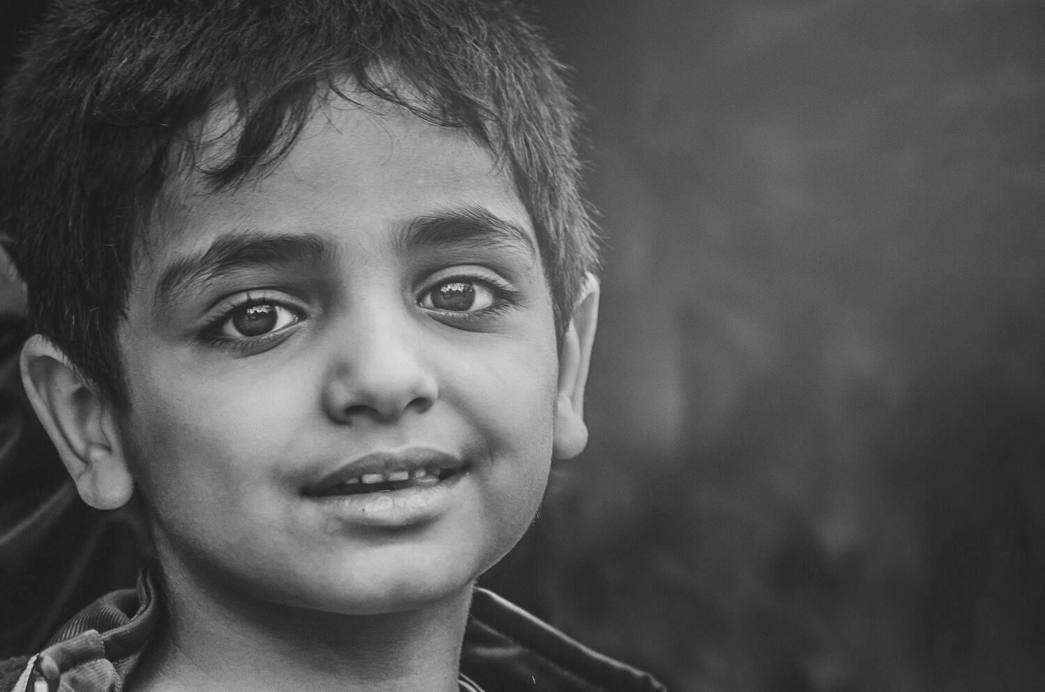 iraq, Ali Ali Sabih Kadhim