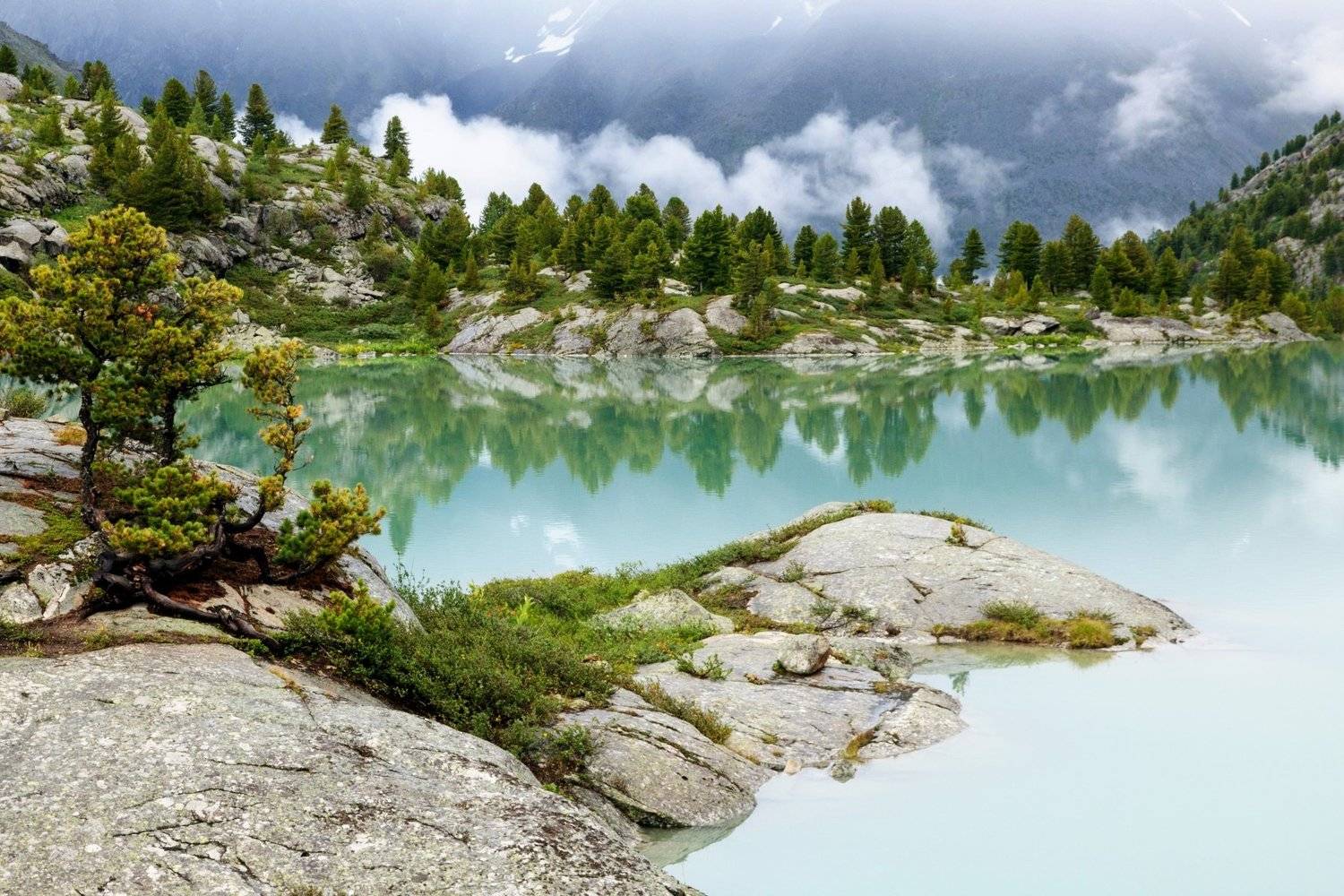 , Алексей Кретов