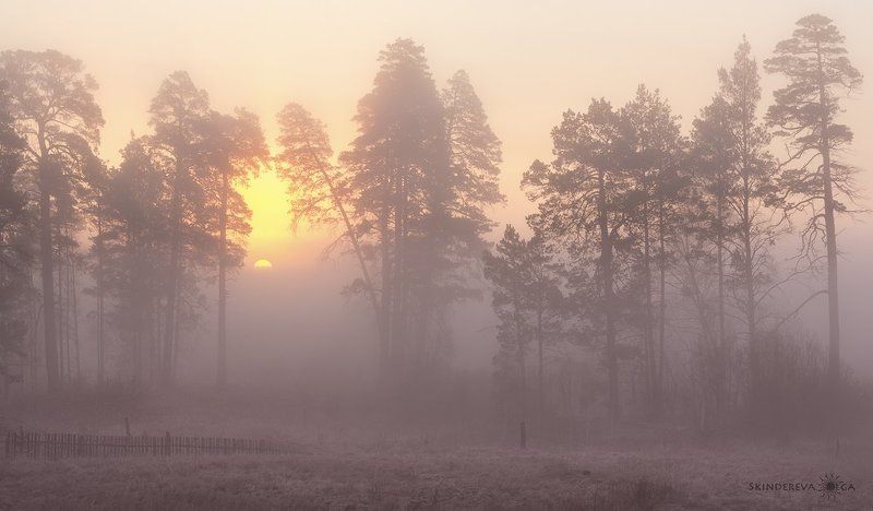 Там, за туманами фото превью