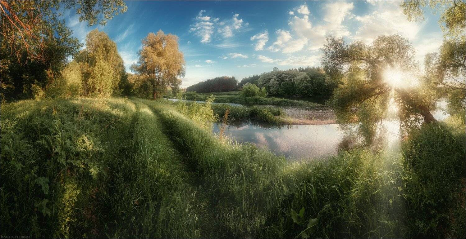 Детство, Дом, Коростышев, Лето, Природа, Солнце, Счастье, Украина, Александр Чорный