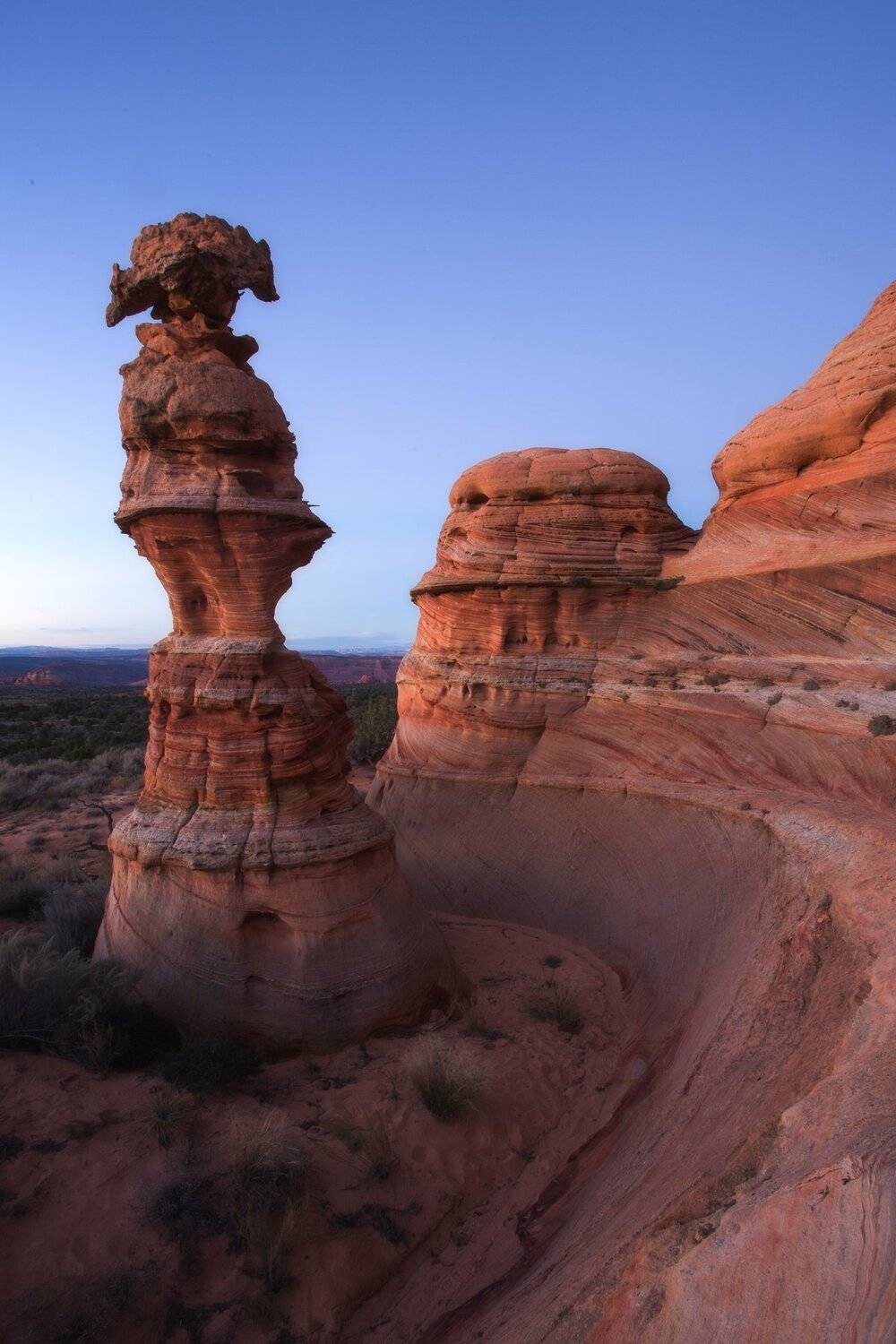 юго-запад, закат, coyote, Марина Маликова