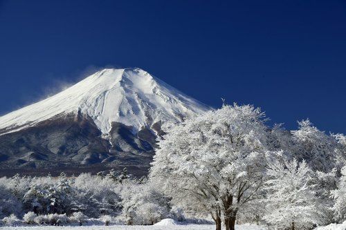 White world