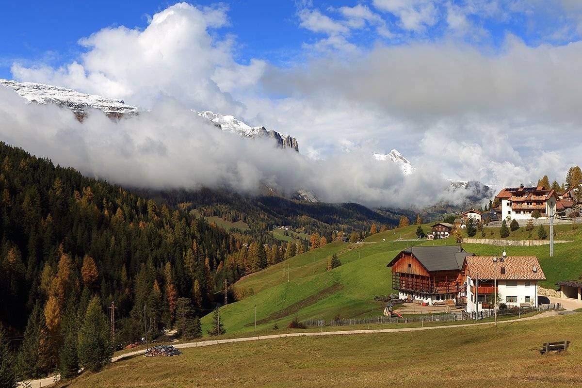 , Игорь Дубровский