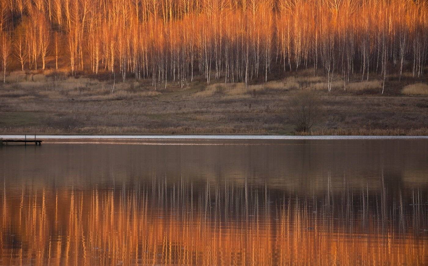 , Руслан Сигушин