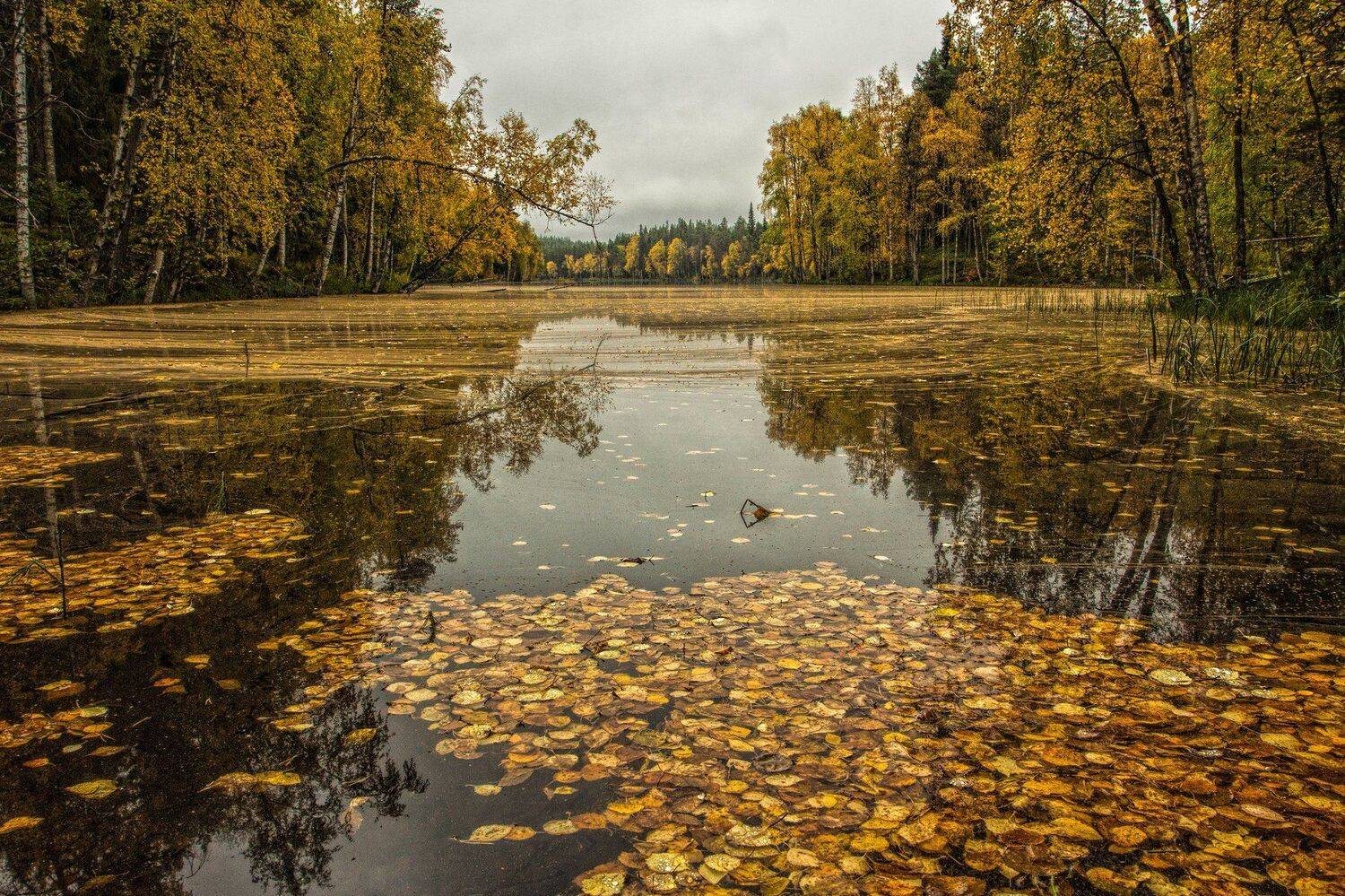 карелия,паанаярви,нац.парк, Александр S