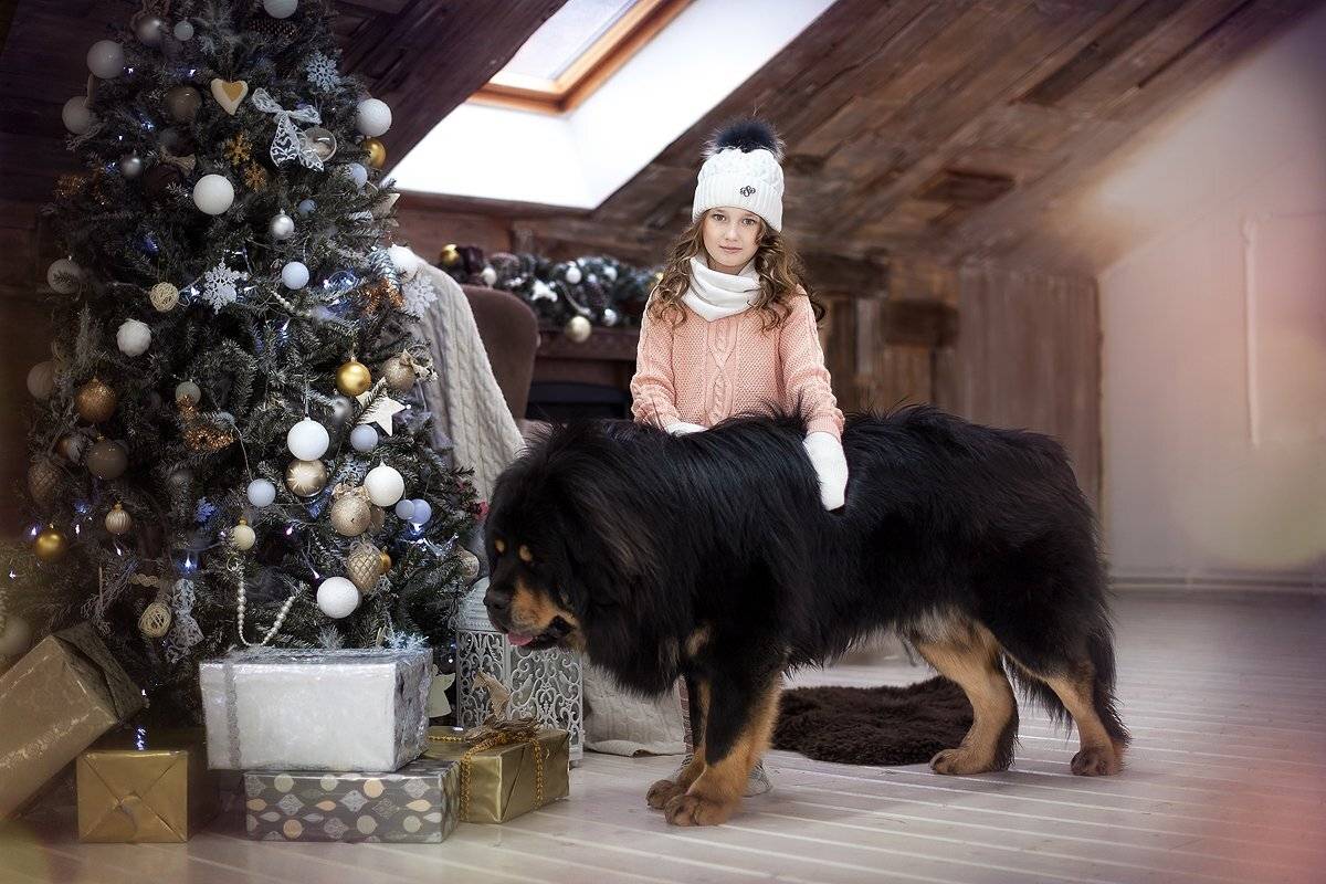 , Сайгина Ольга