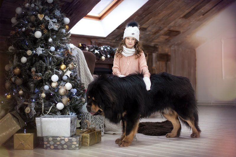 с собачкой фото превью