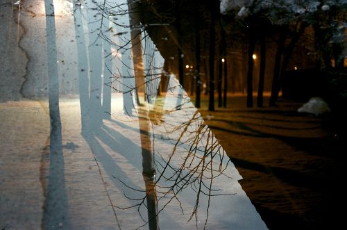 Color film