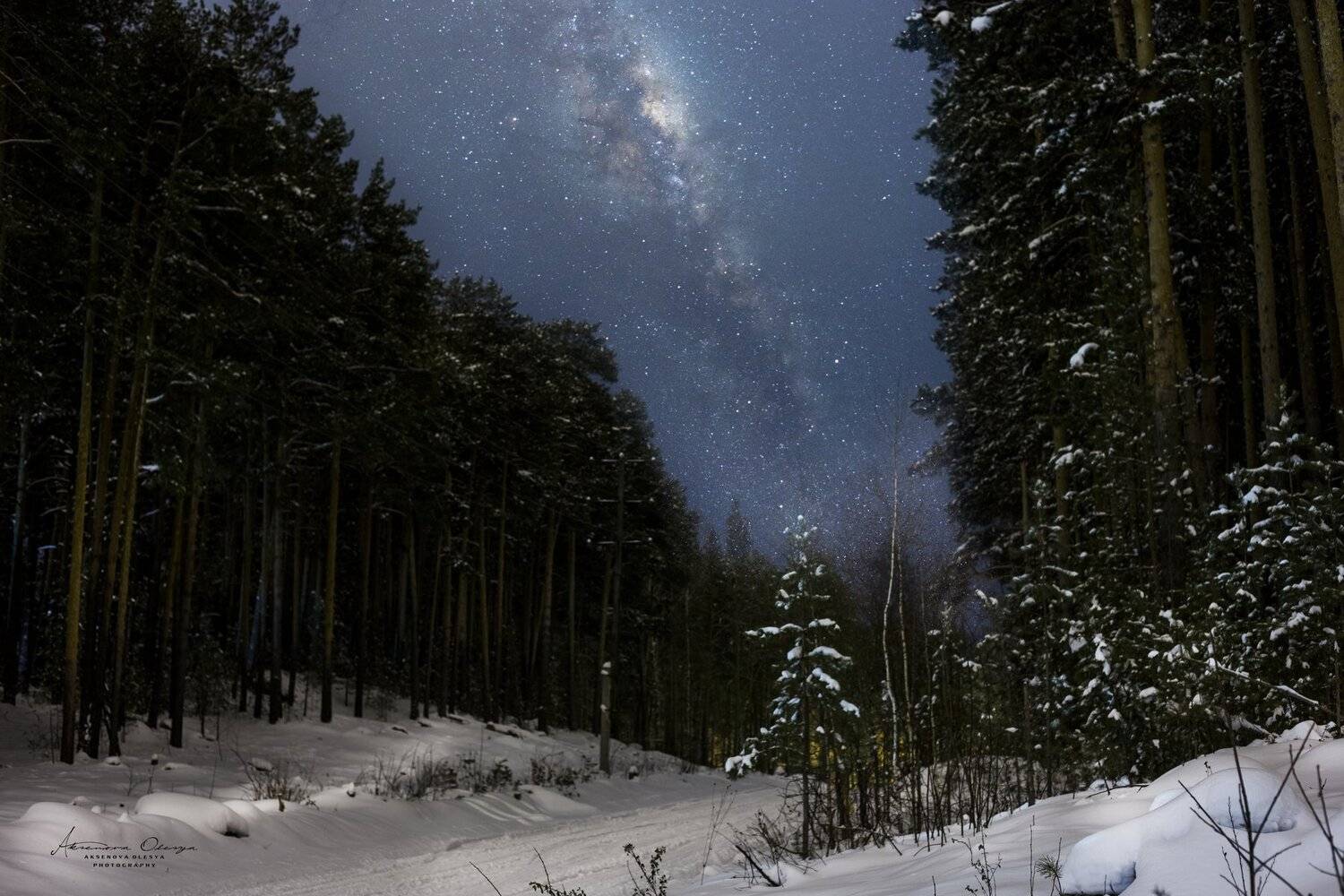 Ночь, звезды, лес, млечный путь , Аксёнова Олеся