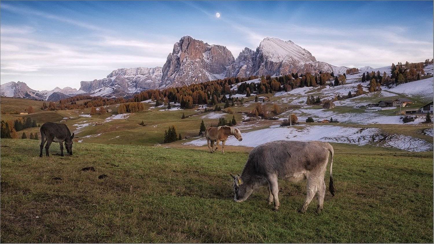 , Владимир K.