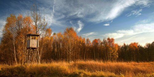 Beautiful Poland