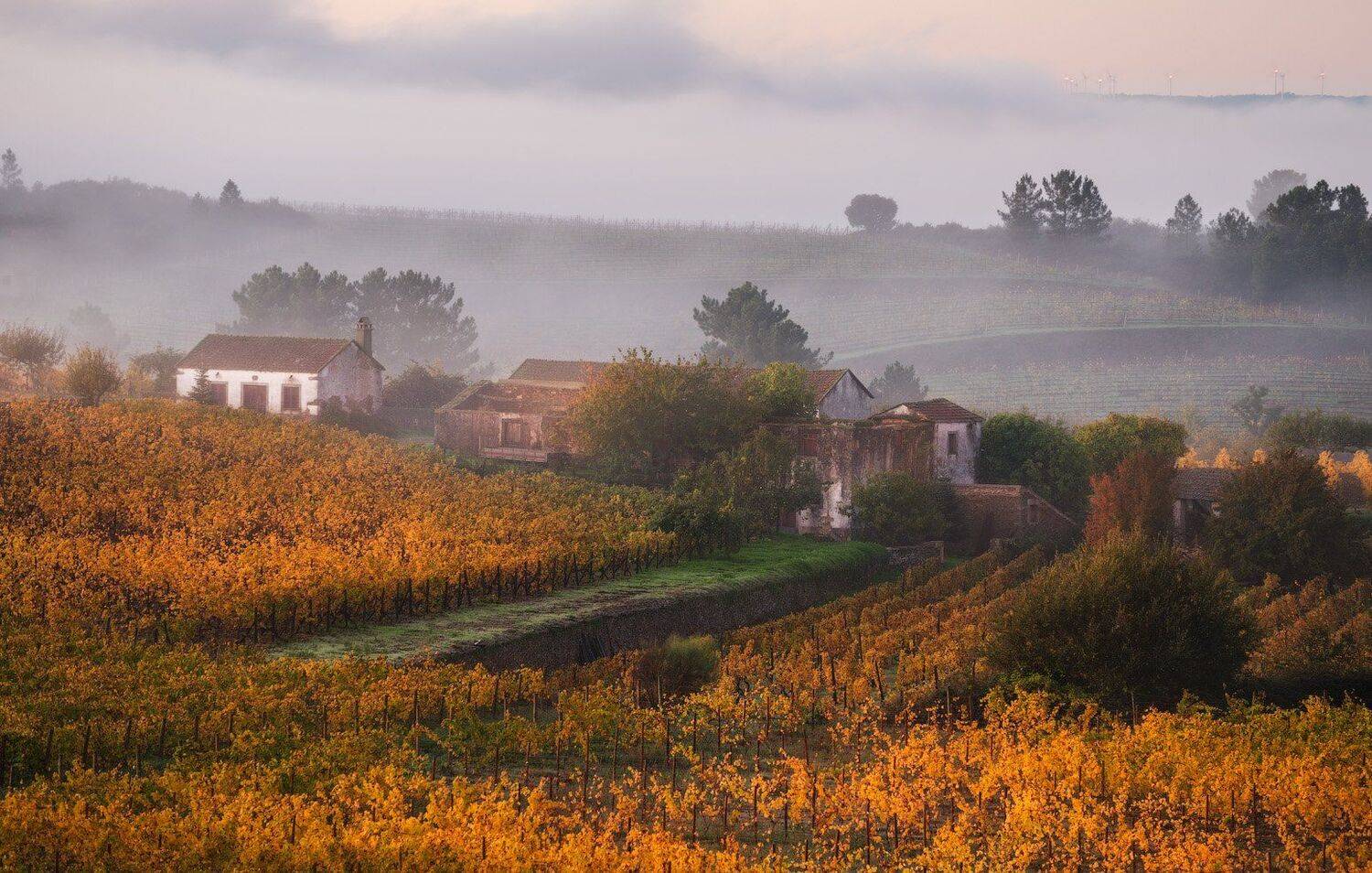 , Андрей Ведерников