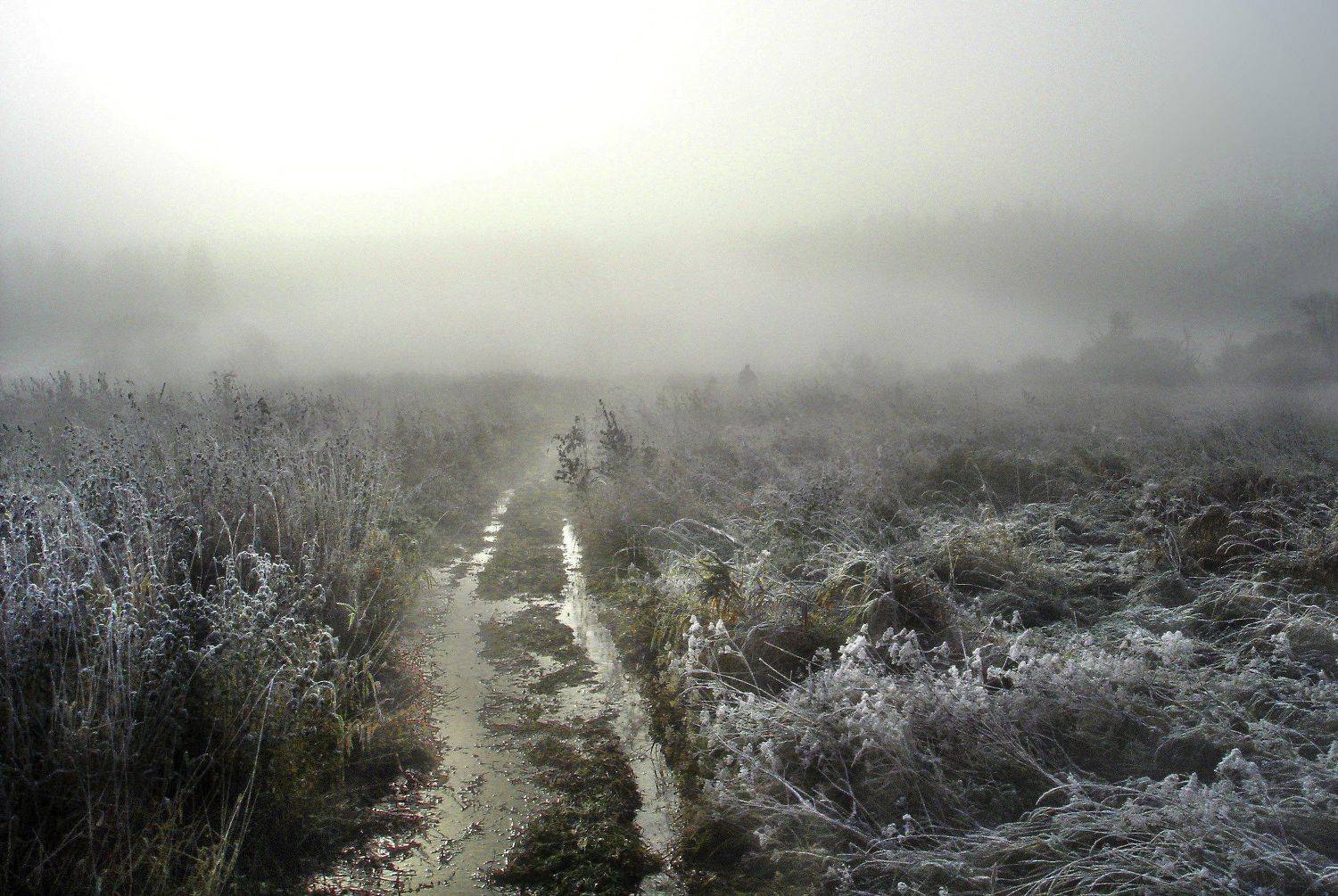 Болото, Туман, Чернаяречка, Петр Косых