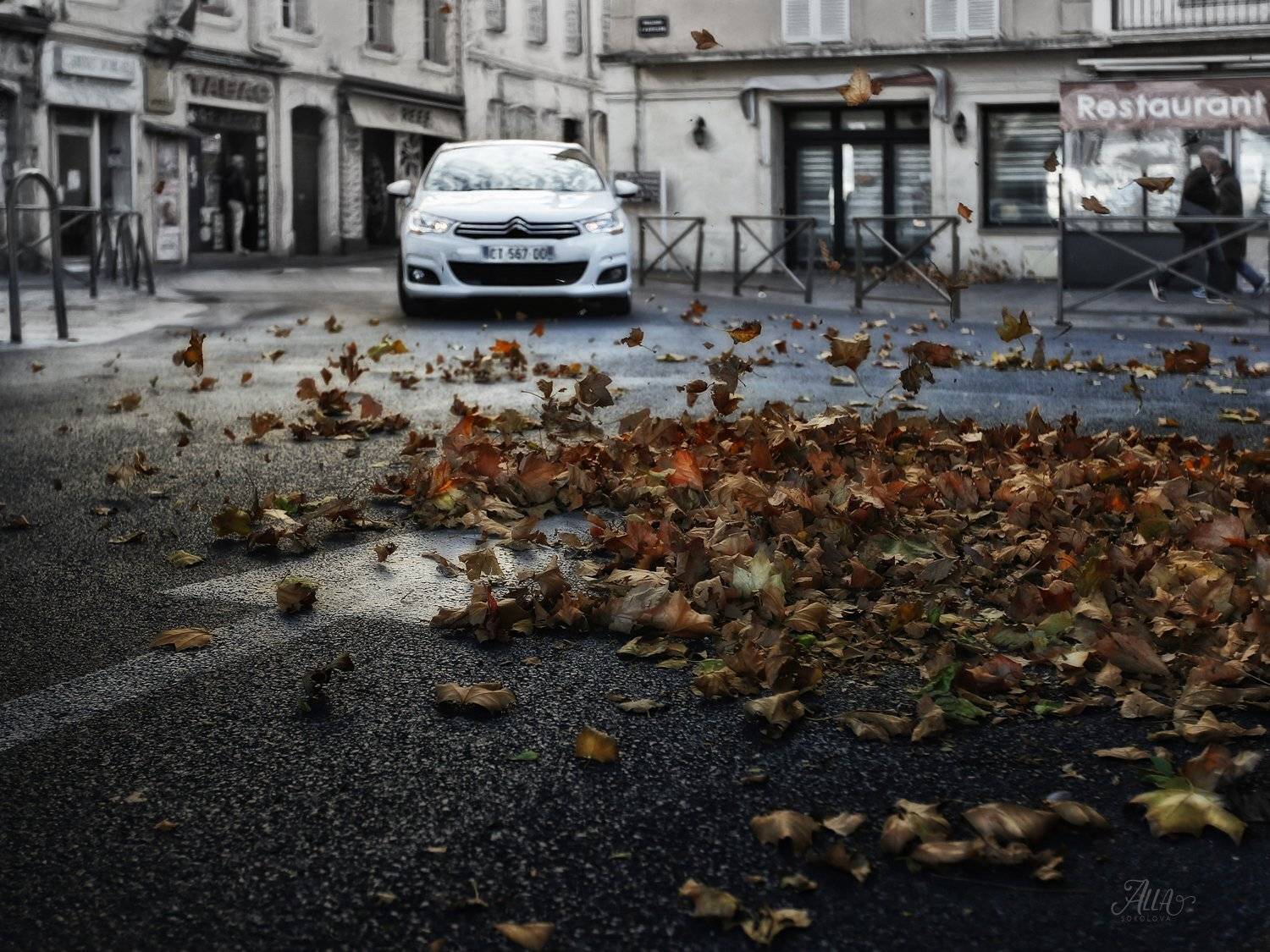 ветер, дорога, квартал, листва, листья, машина, опавшая листва, осень, переулок, франция, ALLA SOKOLOVA
