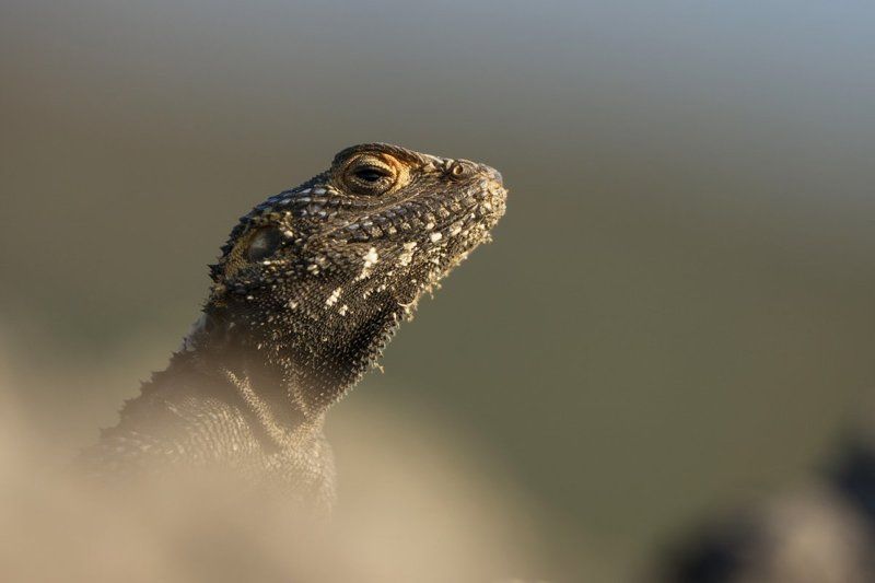 турция Вижу... фото превью
