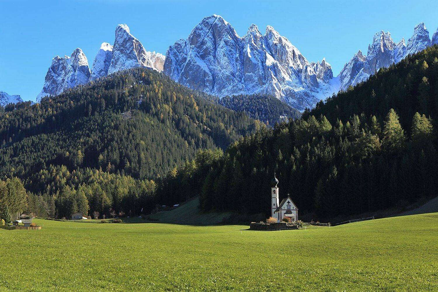 , Игорь Дубровский