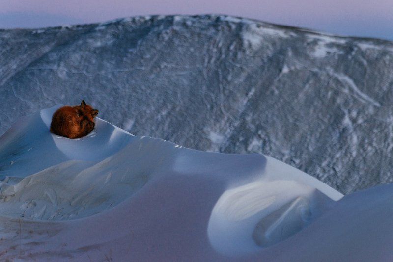 Чукотка *** фото превью