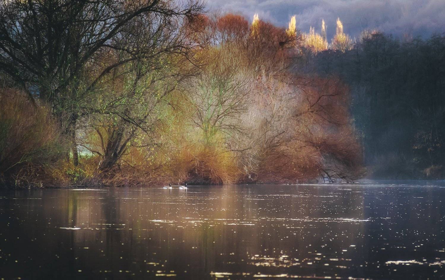 Декабрь, Деревья, Зима, Отражение, Река, Утки, Сергей Нестеров
