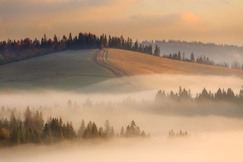 Осенние туманы фото превью