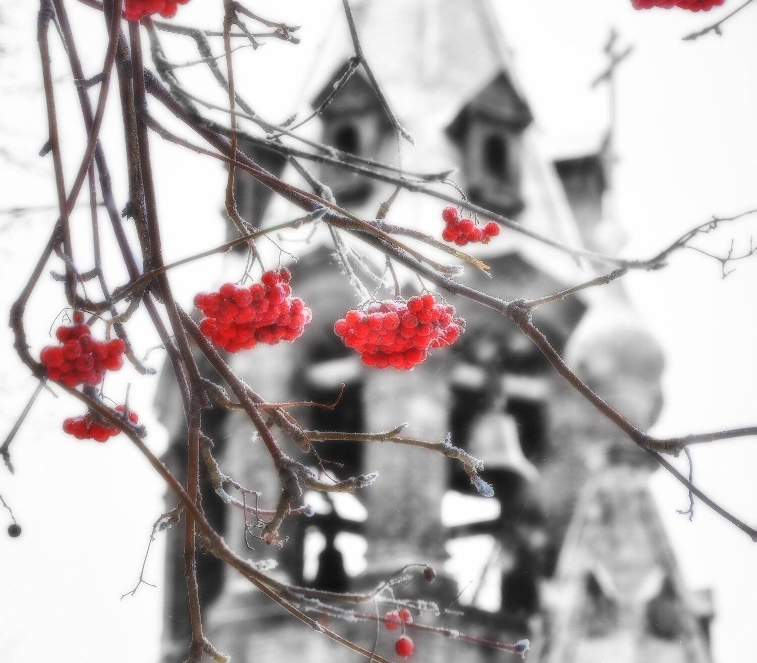 , Олег Богданов