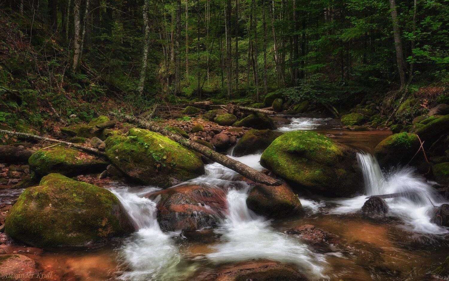 кавказ, кчр, шантацара, Александр Круль