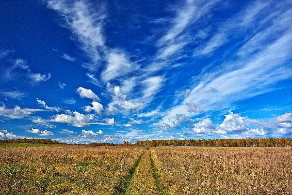 , Качурин Алексей